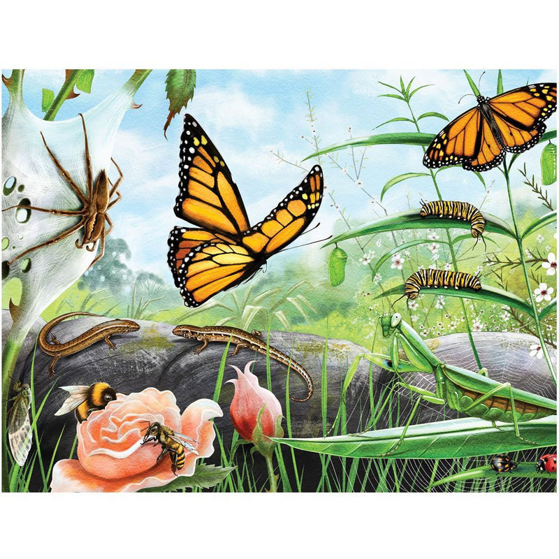 Treasures of Aotearoa: Bugs & Butterflies - 300 pieces