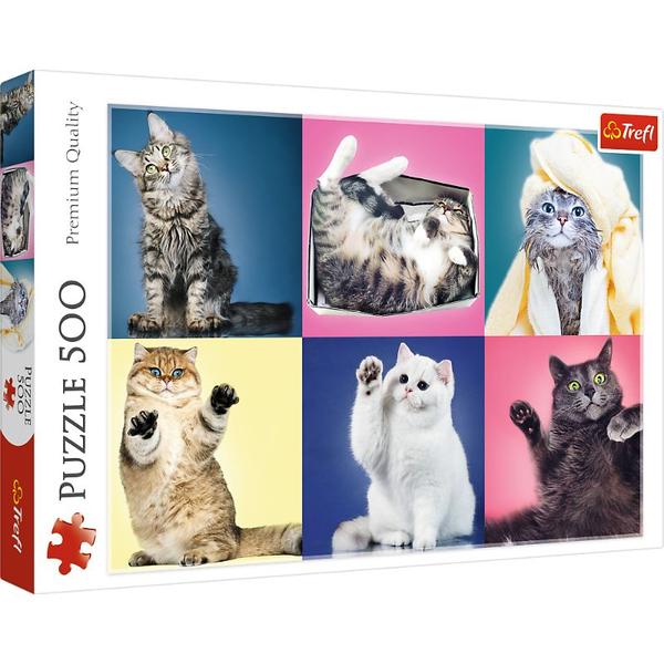 Kittens - 500 Pieces