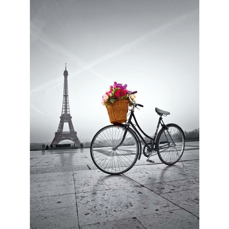High Quality, Romantic Promenade Paris - 500 pieces
