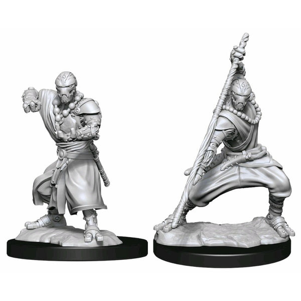 Warforged Monk