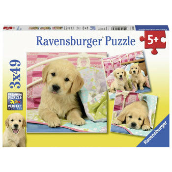 Cute Puppy Dogs - 3x49 Pieces