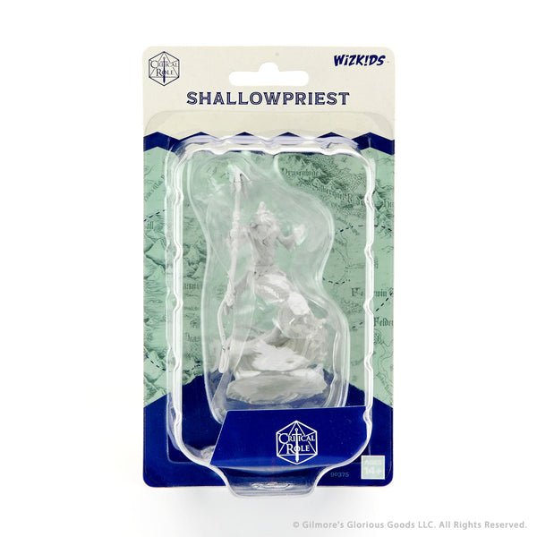 Shallowpriest